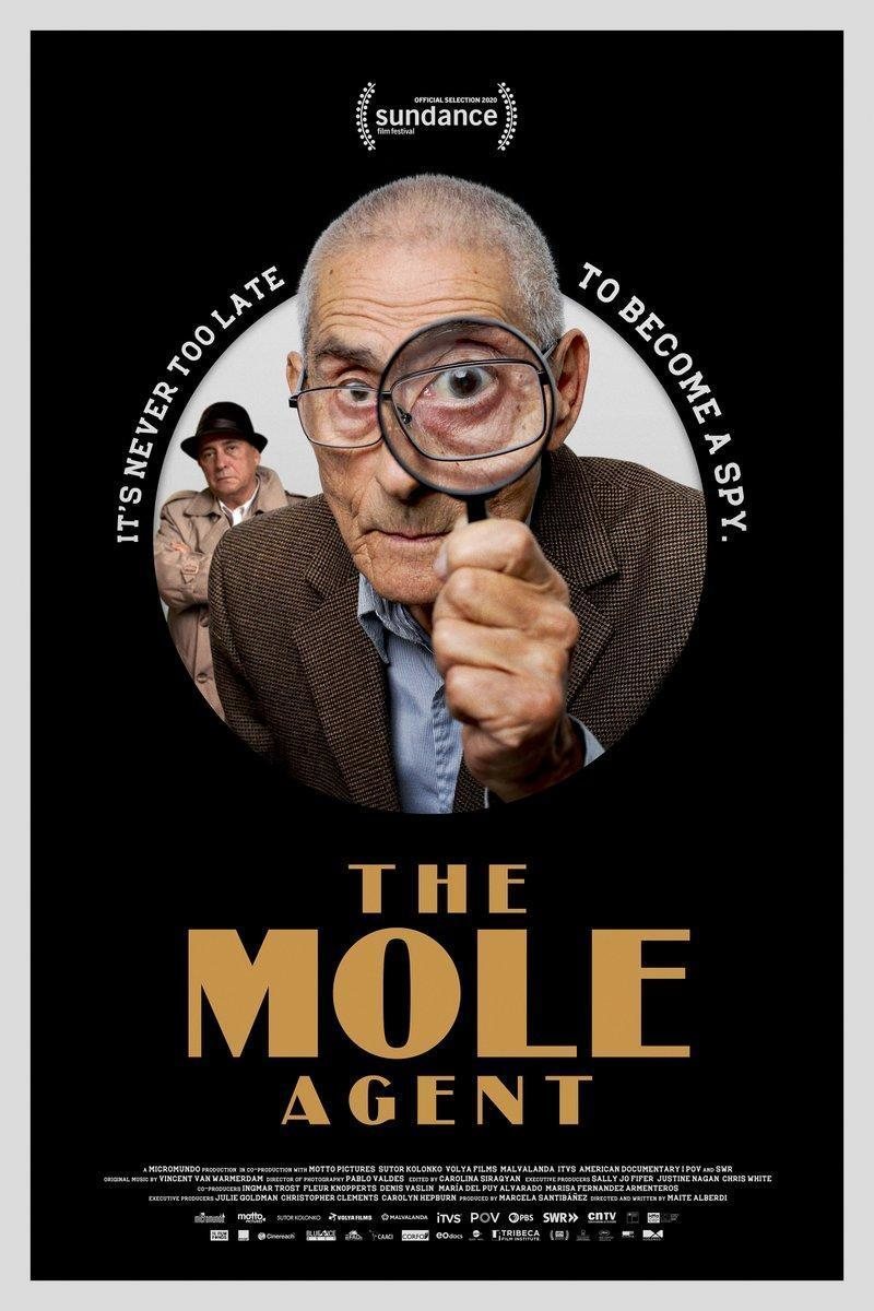 Poster of The Mole Agent - Internacional