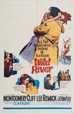 Poster Wild River