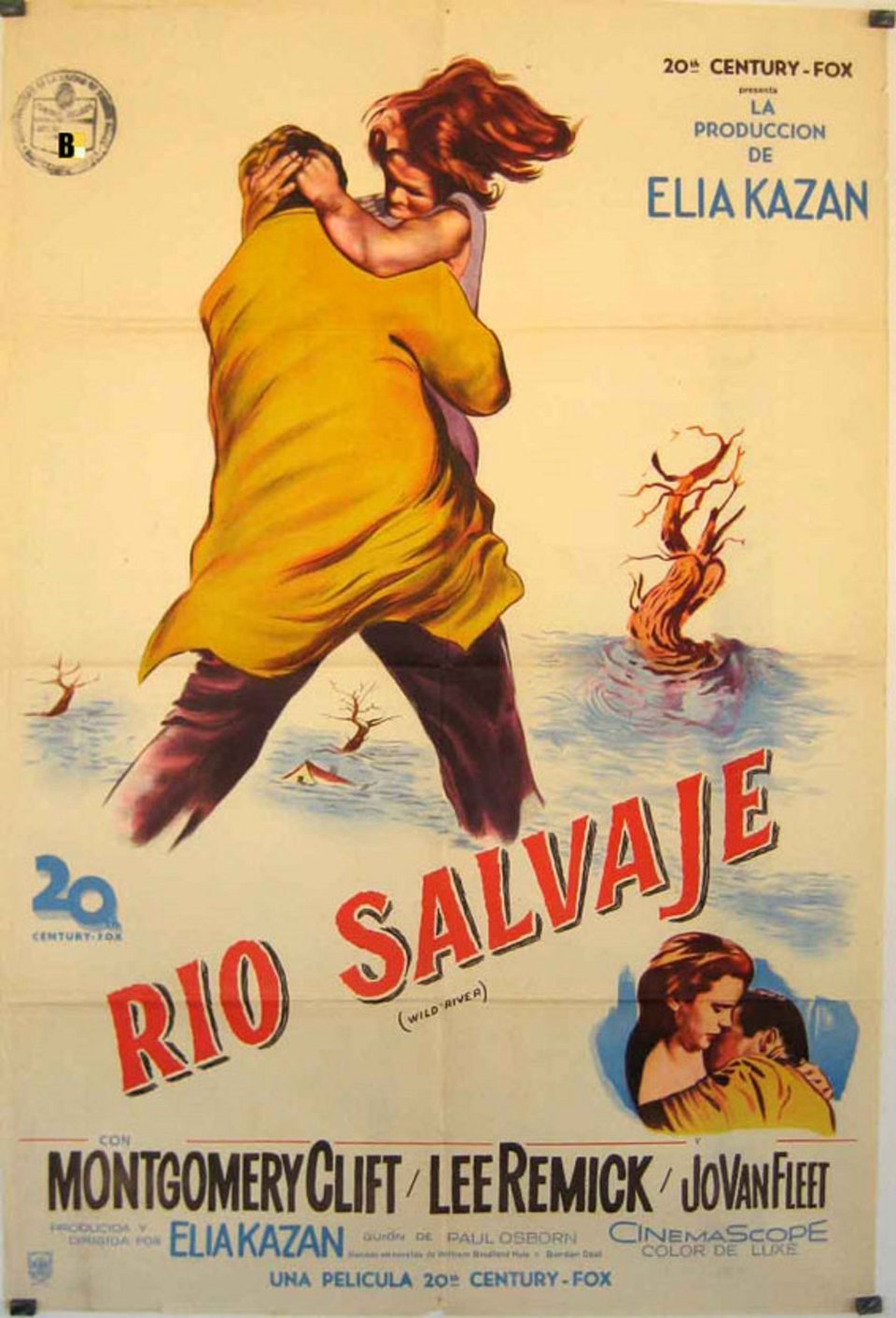 Poster of Wild River - España