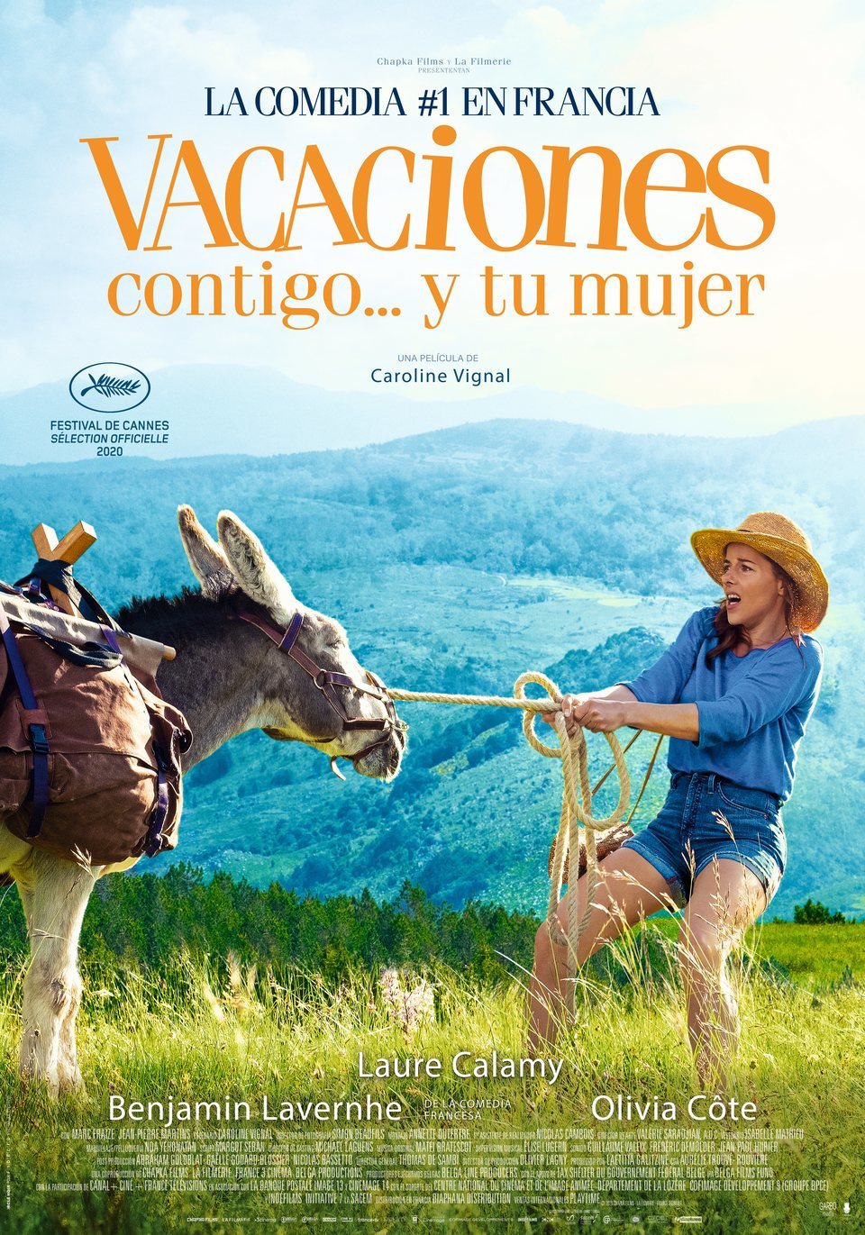 Poster of My Donkey, My Lover & I - España