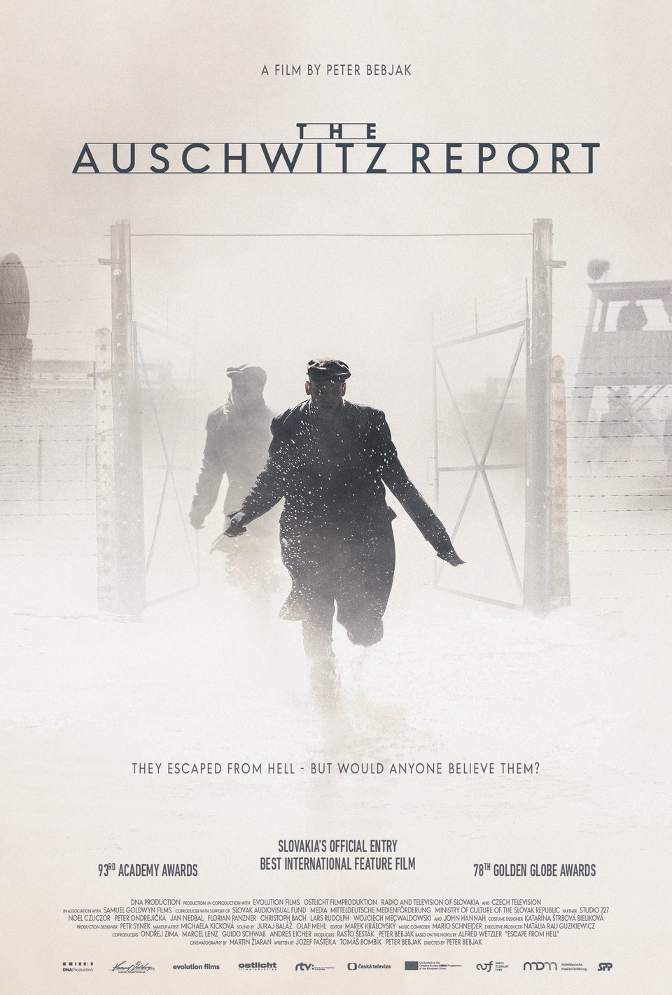 Poster of The Auschwitz Report - Reino Unido