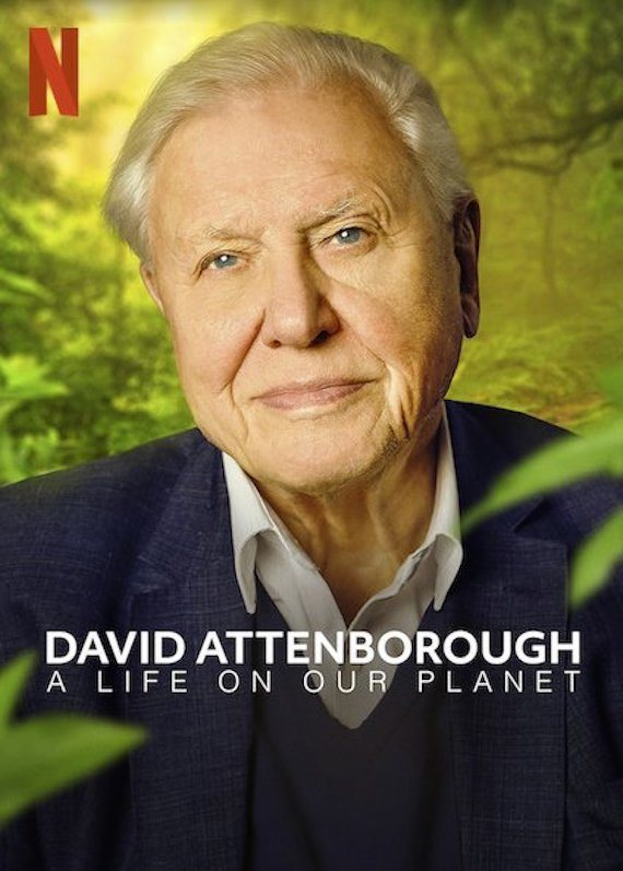 Poster of David Attenborough: A Life on Our Planet - Reino Unido