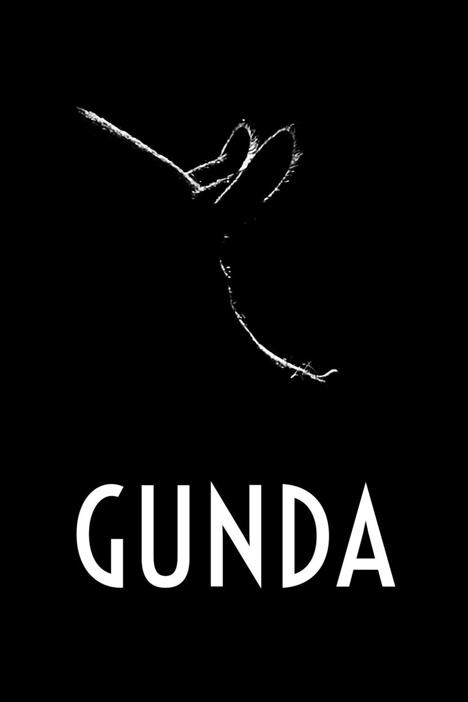 Poster of Gunda - España