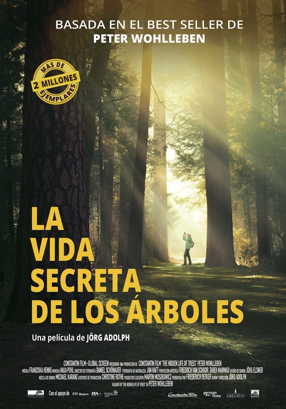 Poster of The Hidden Life of Trees - España