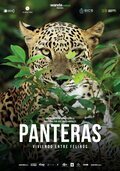 Poster Panteras