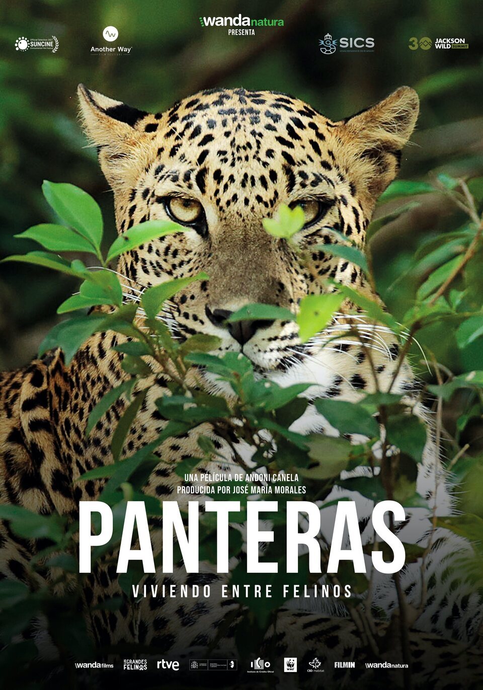 Poster of Panteras - España