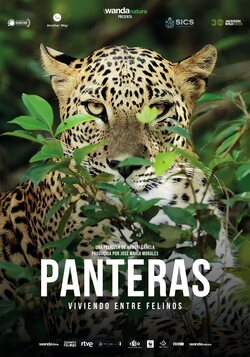 Panteras poster