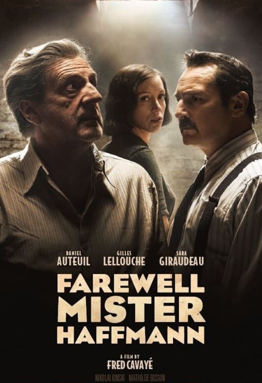 Poster of Farewell Mr Haffmann - Internacional