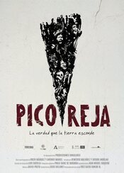 Pico Reja, the truth that lands hides