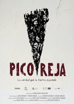 Poster Pico Reja, the truth that lands hides