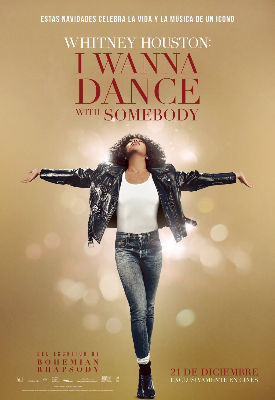 Poster of I Wanna Dance With Somebody - España