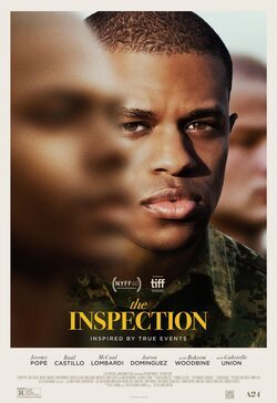 Poster The Inspection