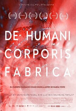 De humani corporis fabrica