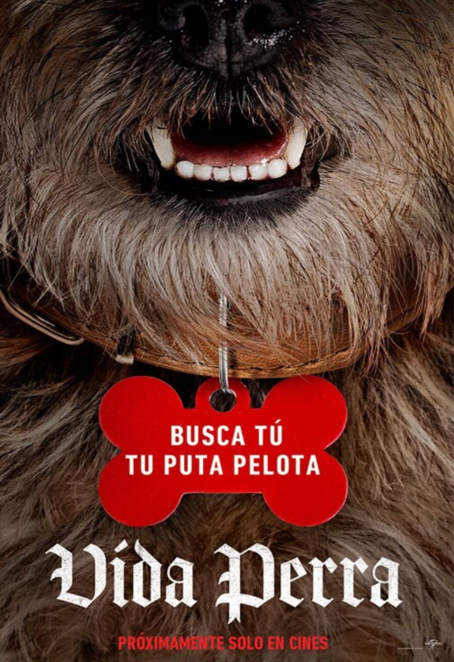 Poster of Strays - Cartel español