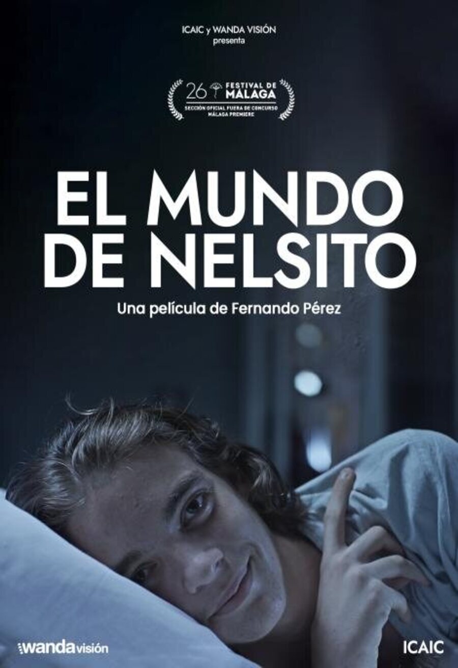 Poster of El mundo de Nelsito - 