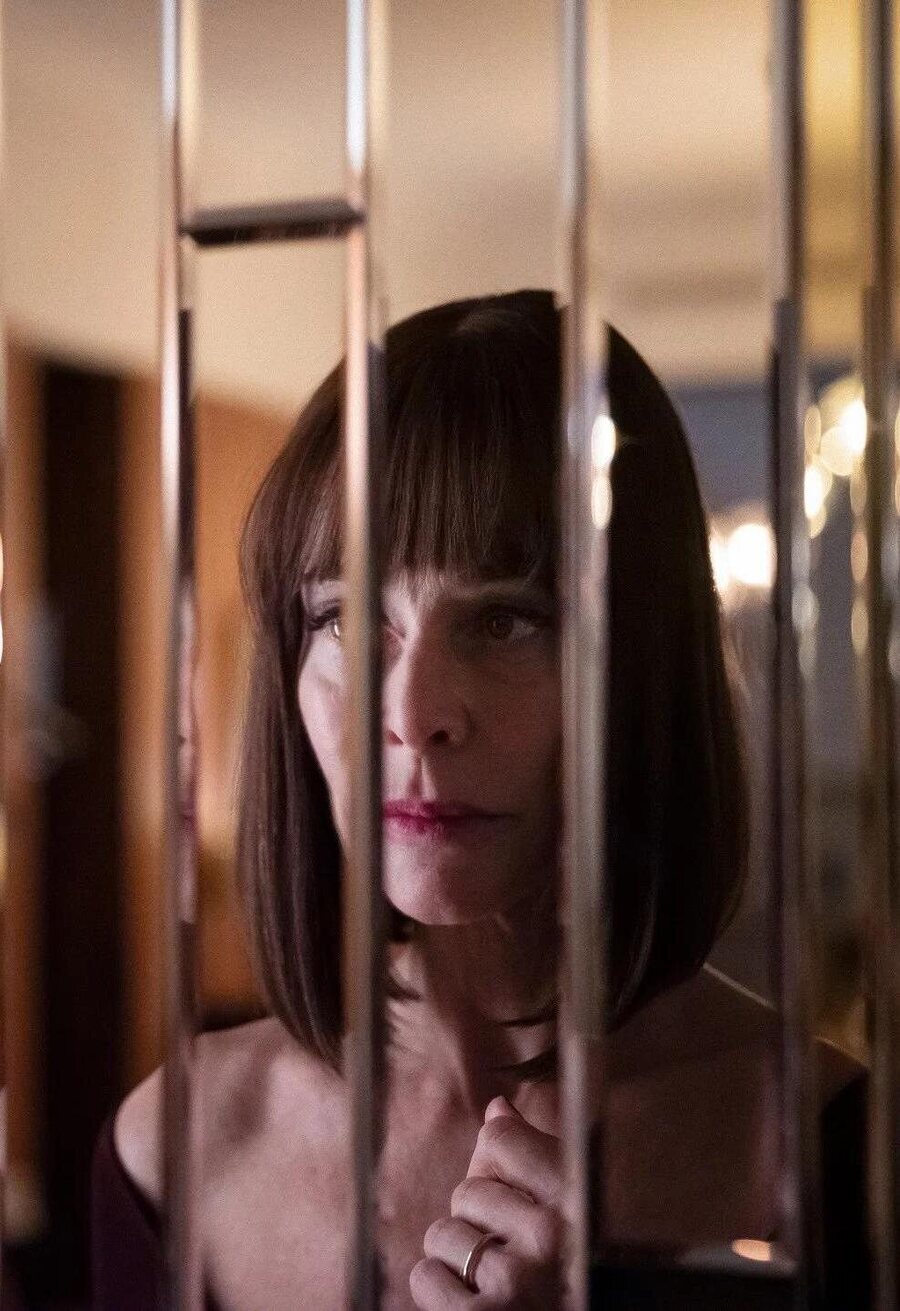 Poster of Caída libre - Cartel provisional