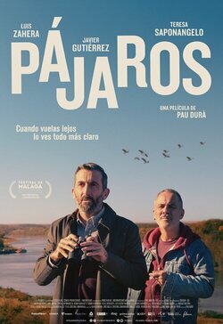 Poster Pájaros