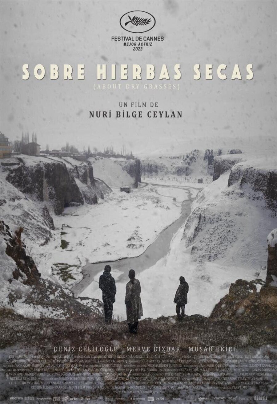 Poster of About Dry Grasses - Cartel México