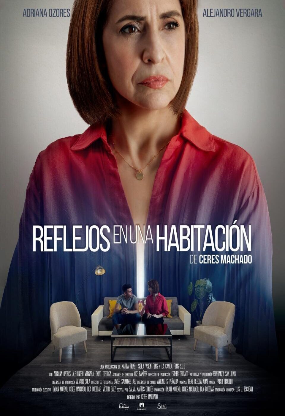 Poster of Reflections in a Room - España