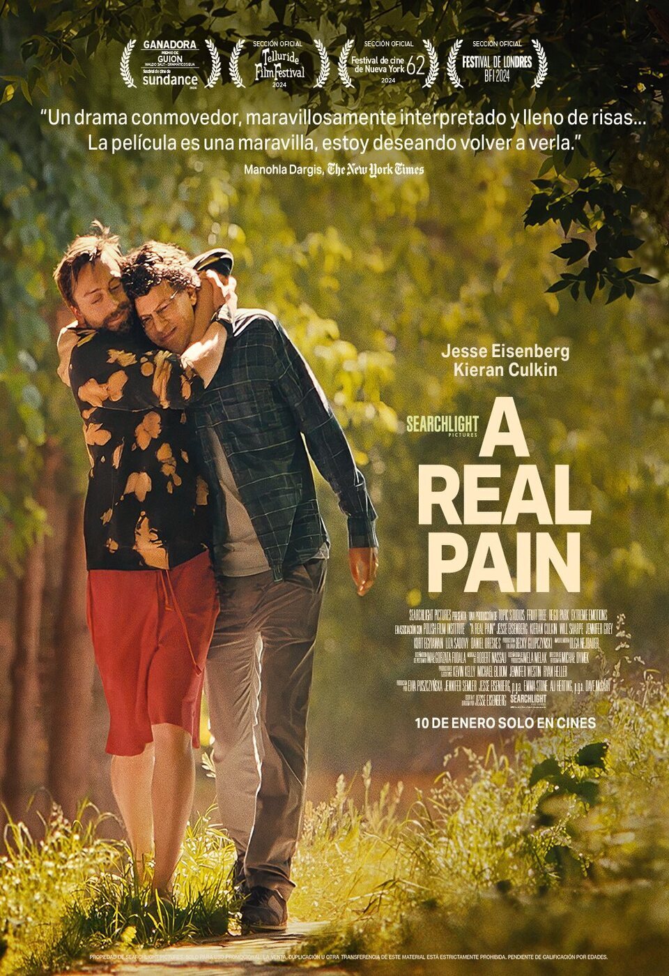 Poster of A Real Pain - Póster