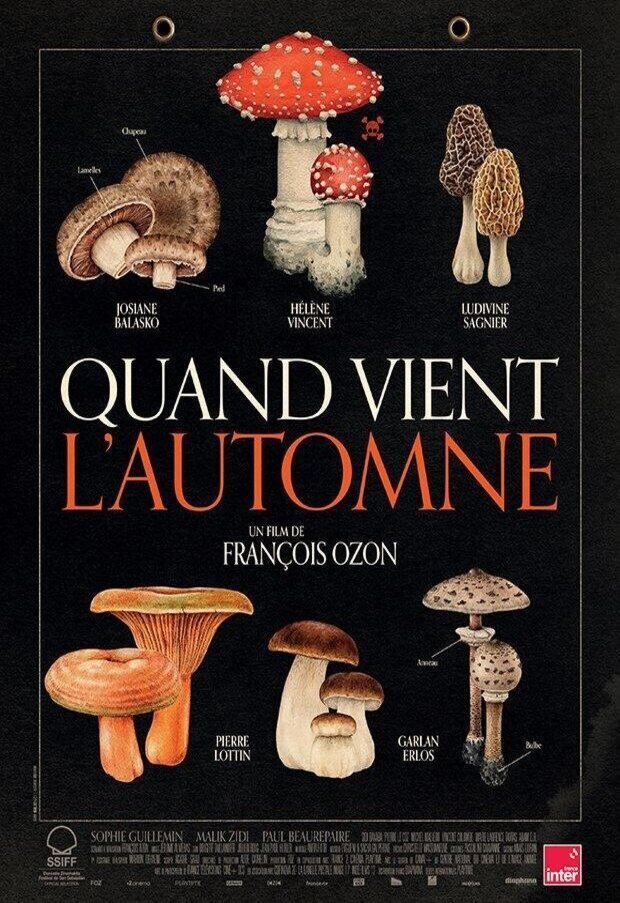 Poster of When Fall Is Coming - 