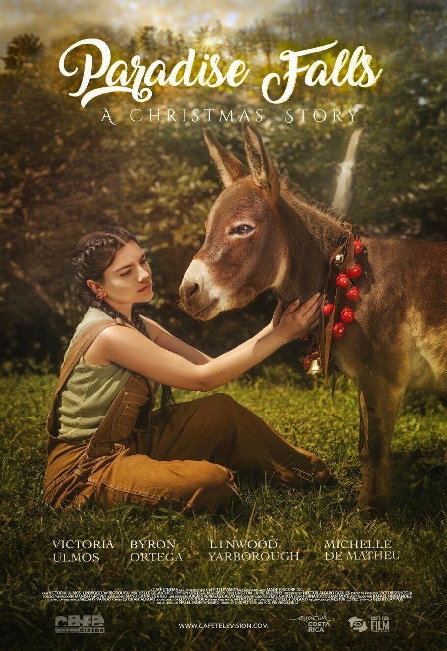 Poster of Paradise Falls: A Christmas Story - Cartel inglés