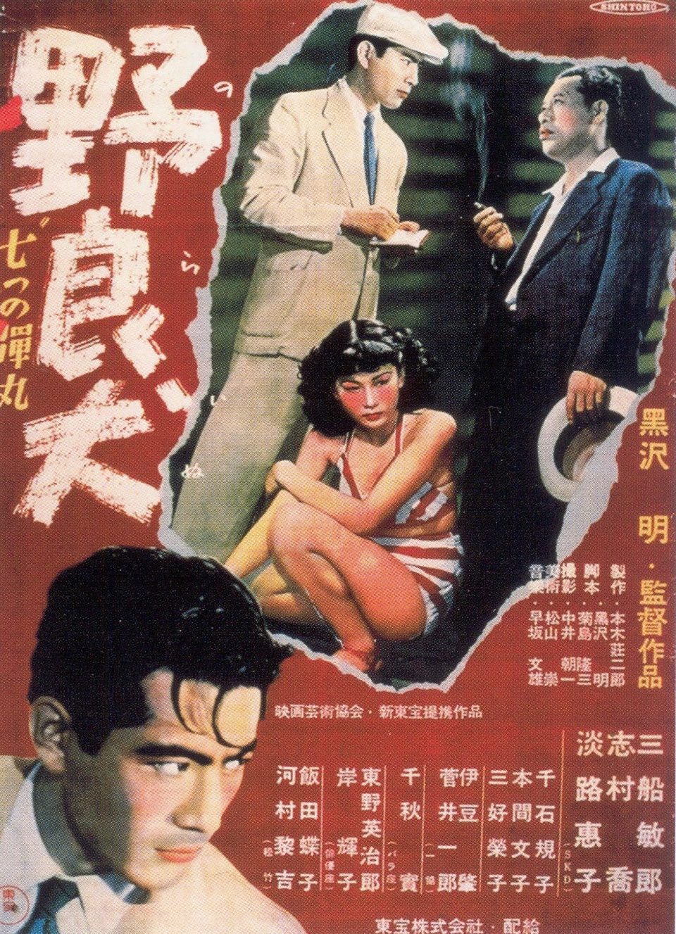 Poster of Stray Dog - China