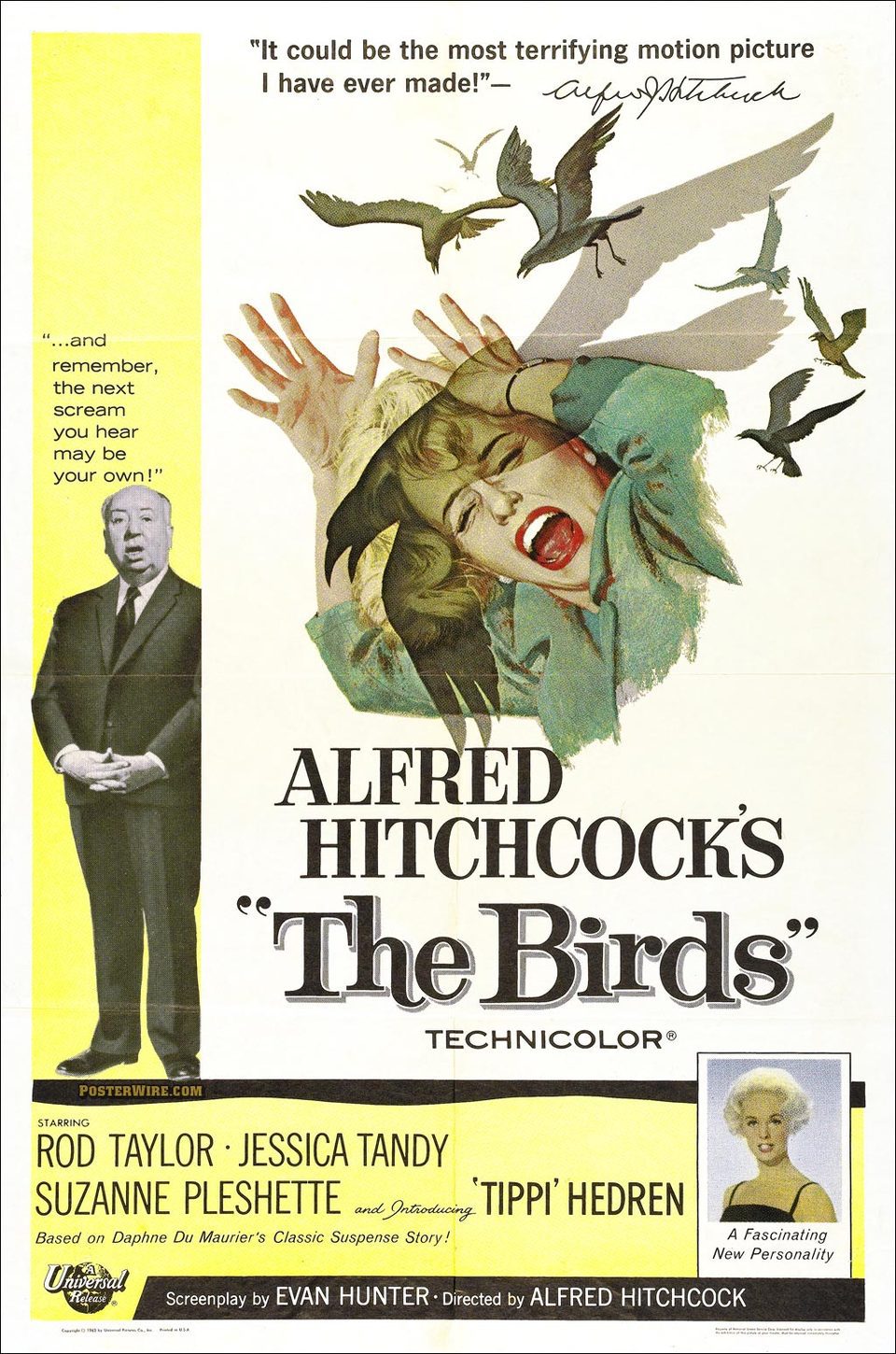 Poster of The Birds - Estados Unidos