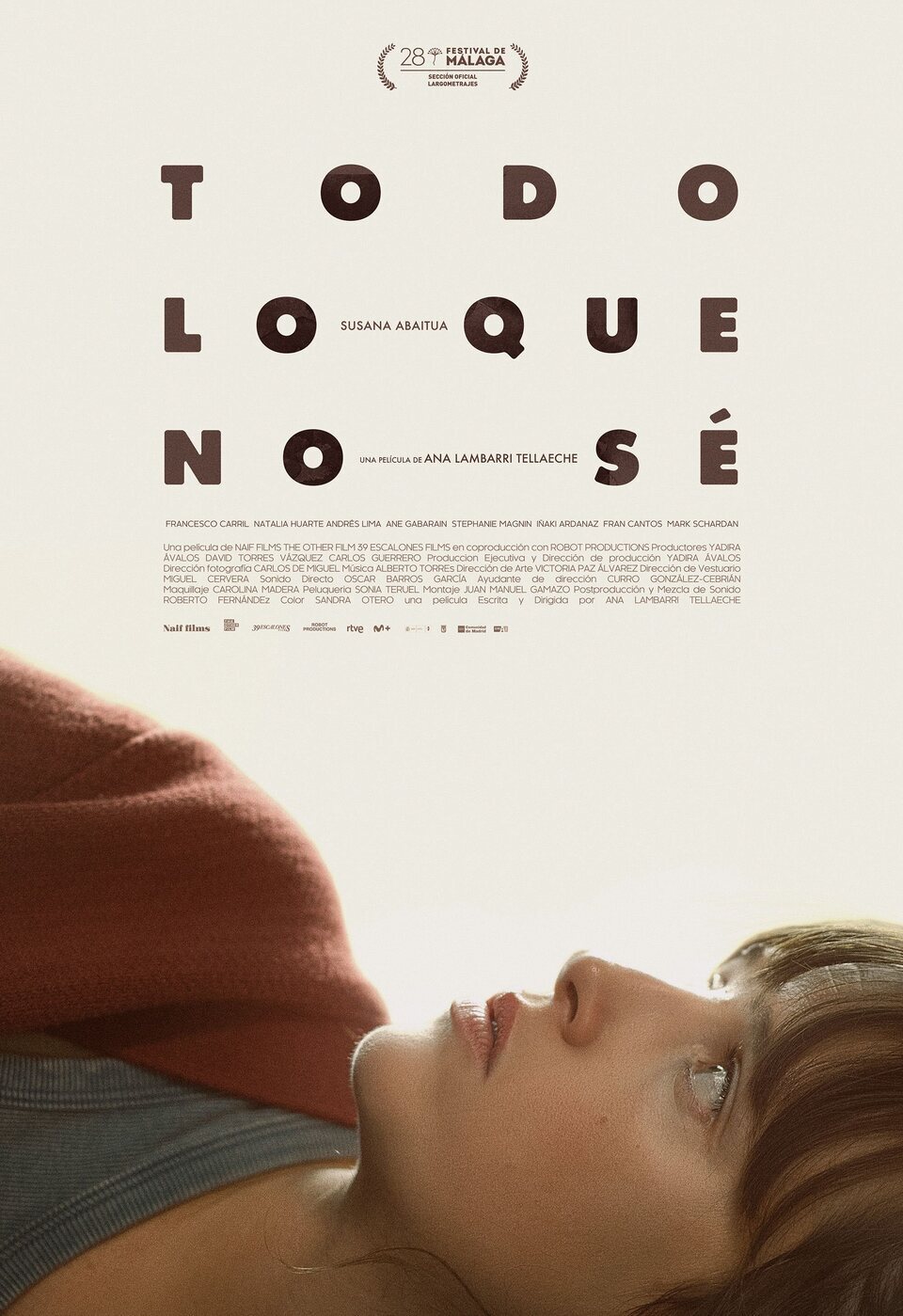 Poster of Todo lo que no sé - Póster