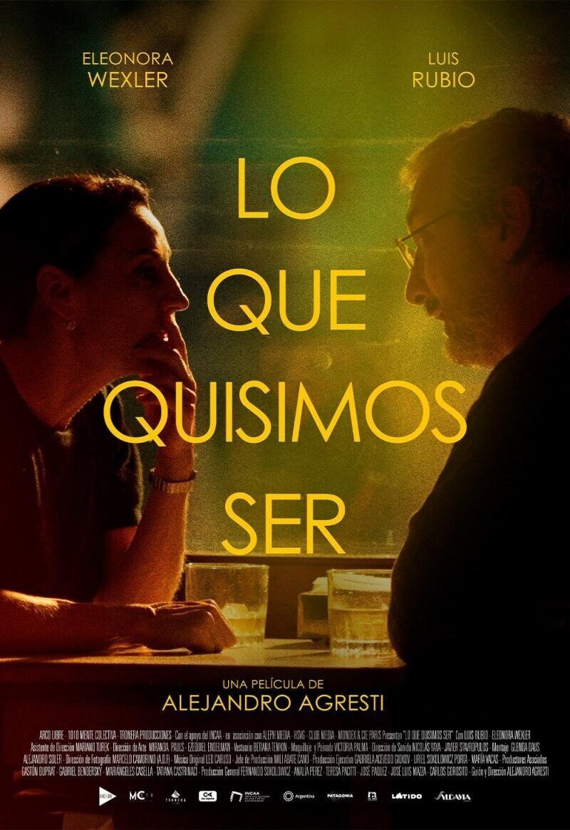 Poster of What We Wanted to Be - 