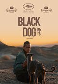 Black Dog