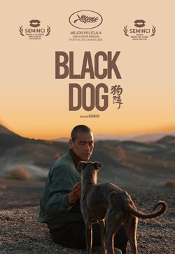 Poster Black Dog