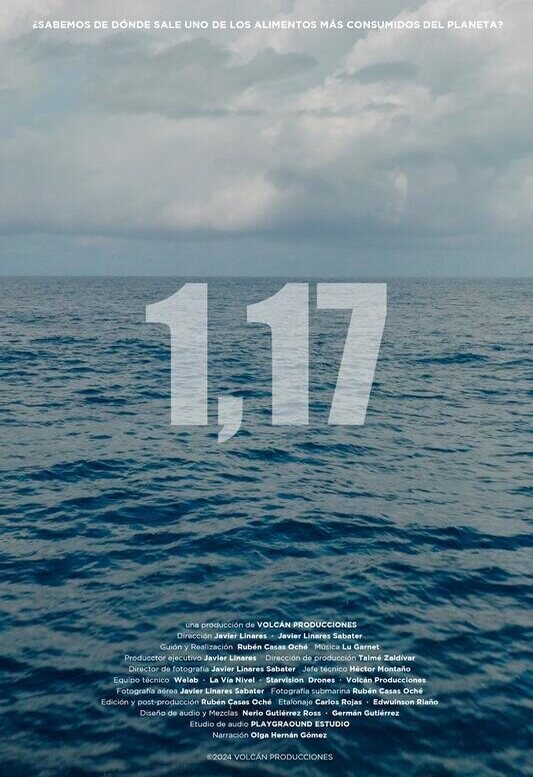 Poster of 1,17 - 