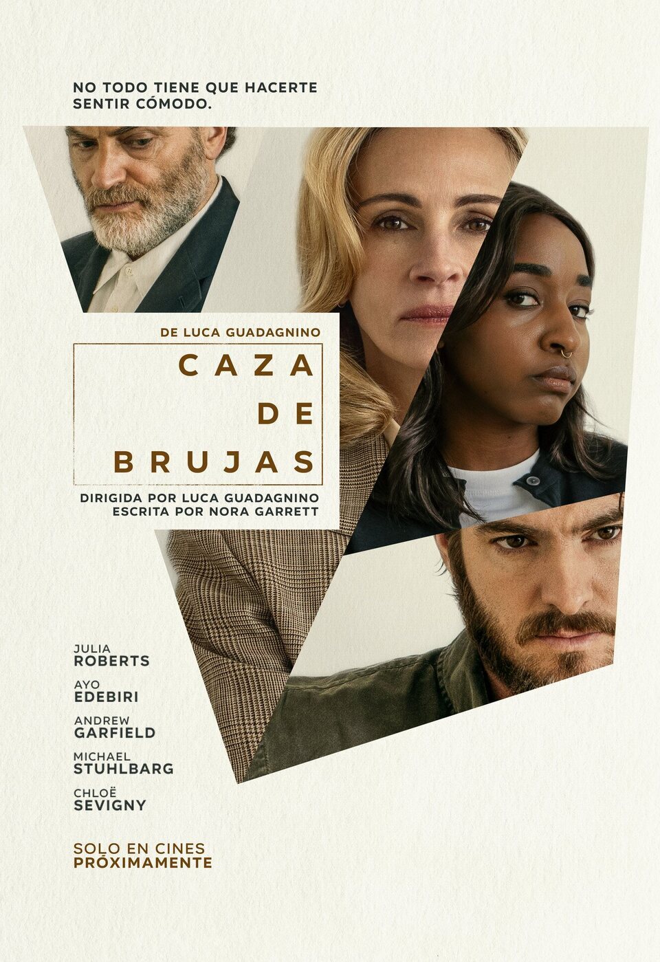 Poster of After the Hunt - España
