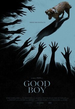 Poster Good Boy