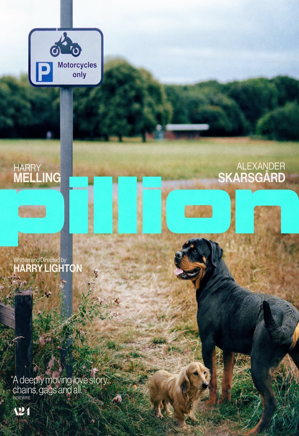 Poster of Pillion - Cartel #3