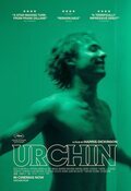 Poster Urchin