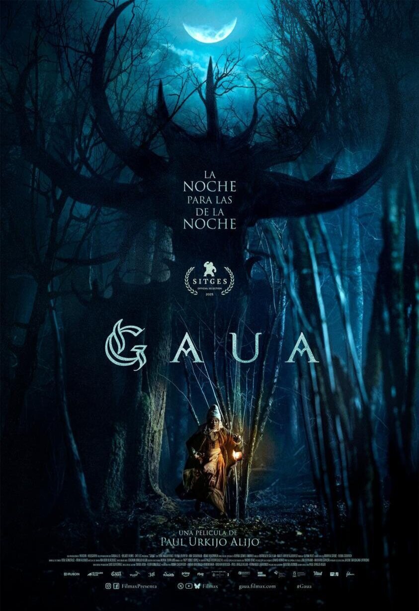 Poster of Gaua - GAUA