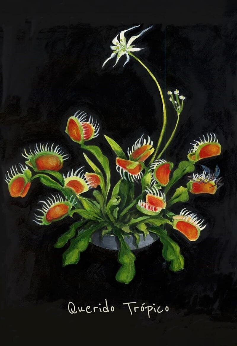 Poster of Querido trópico - Cartel teaser