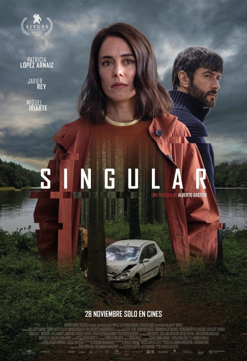 Poster of Singular - Cartel original