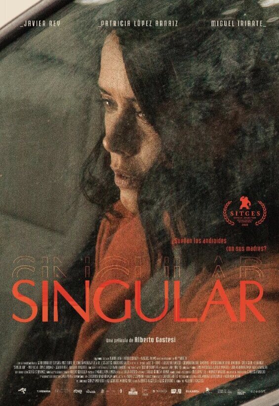 Poster of Singular - Otro cartel