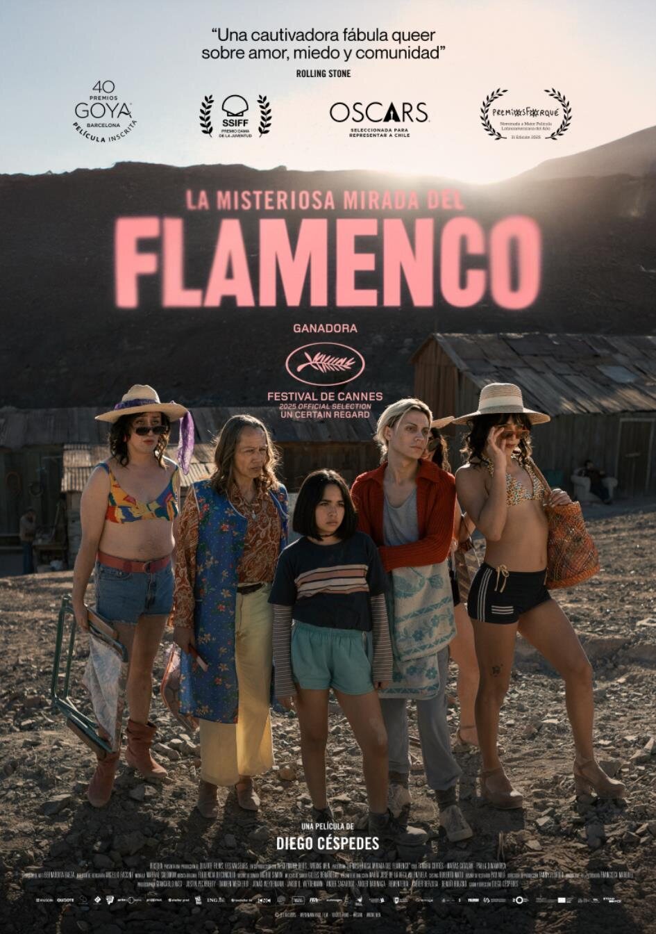 Poster of The Mysterious Gaze of the Flamingo - Otro cartel
