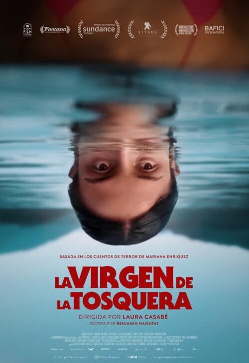 Poster of The Virgin of the Quarry Lake - Cartel original