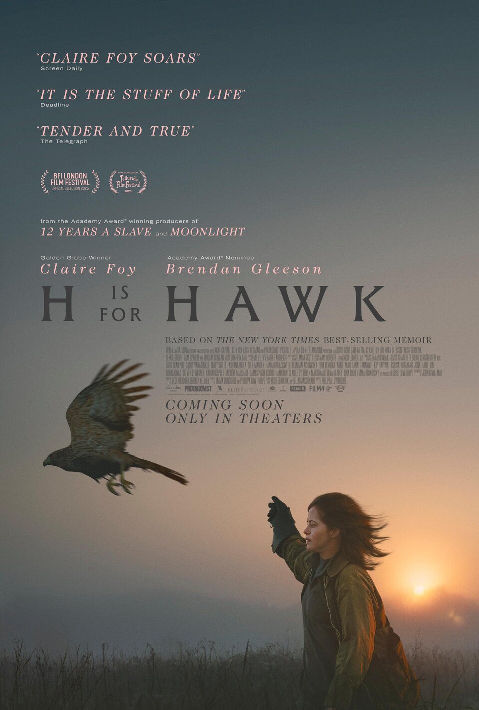 Poster of H Is for Hawk - Reino Unido