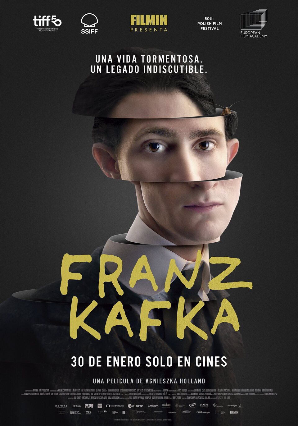 Poster of Franz - España