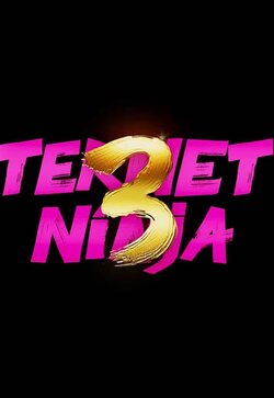 Ternet Ninja 3