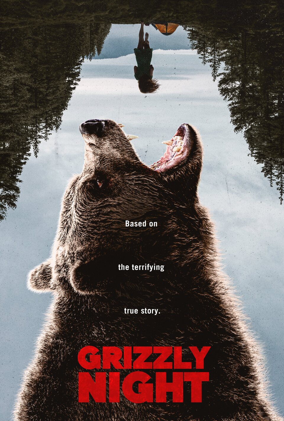 Poster of Grizzly Night - 