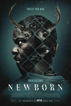 Poster Newborn