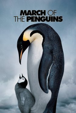 Poster March of the Penguins