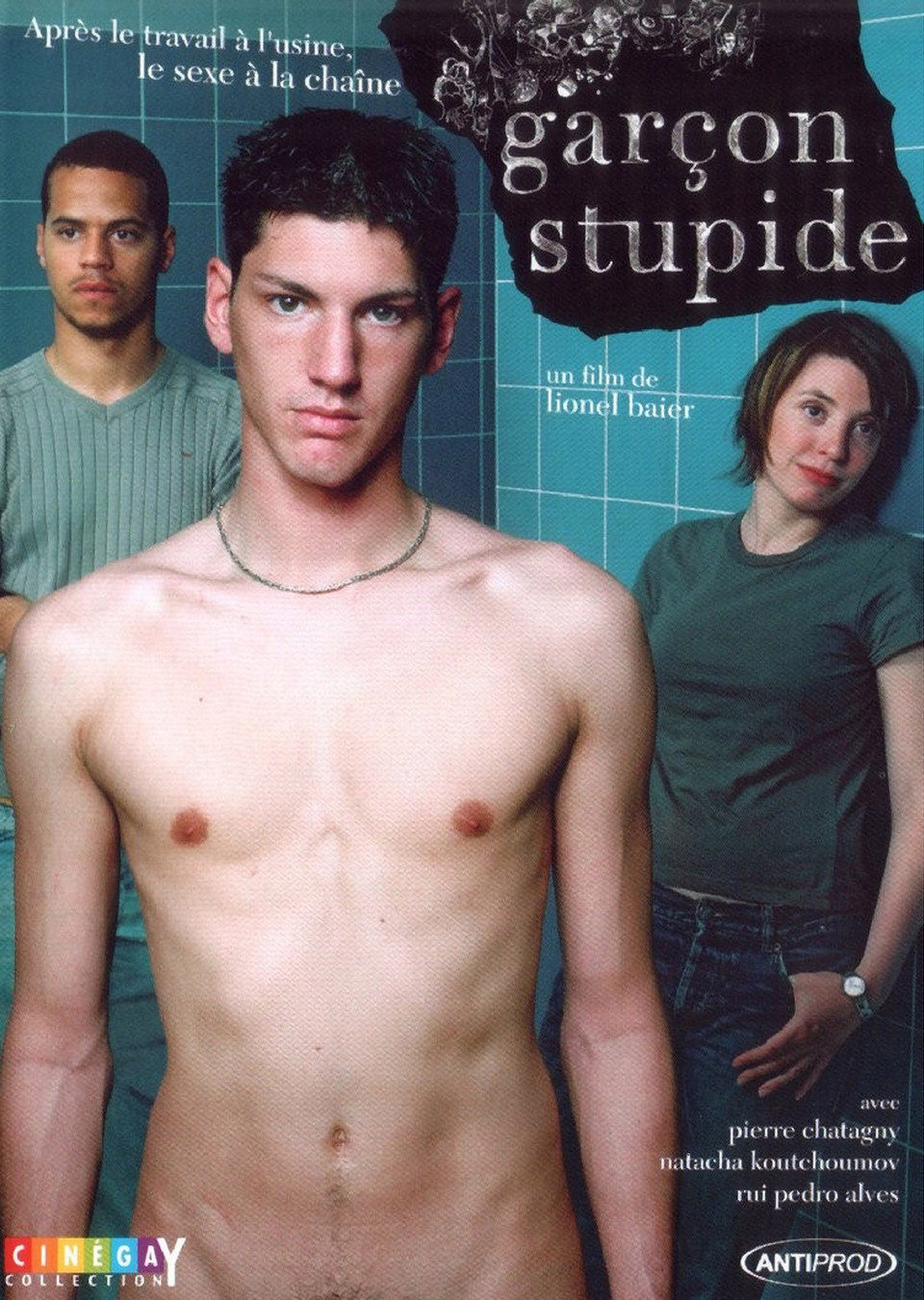 Poster of Stupid Boy - Francia
